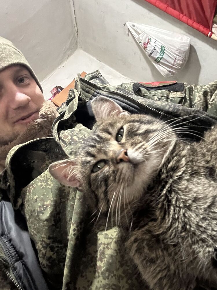 ���������� ������, ���� ������� �����, 32 ����, ������������ ��� ������, ����� � ���������