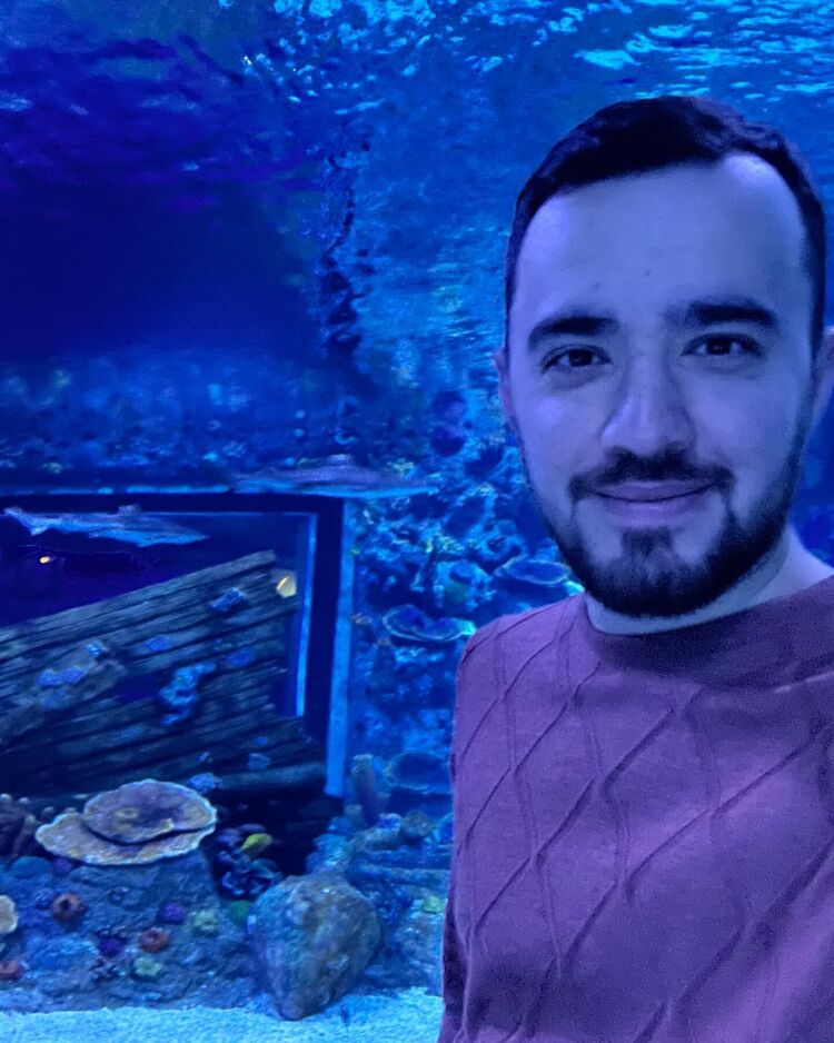 ���� 31018877 ������� ������, 28 ���, ���� ���������� � ������