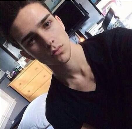 ���� 55856807 ����� Taim, 24 ����, ���� ���������� � ��������