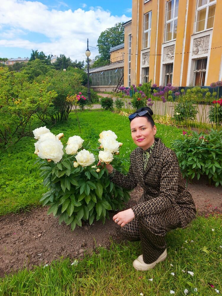  54200277  , 40 ,    -