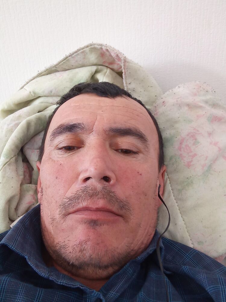  33098097  , 51 ,    -