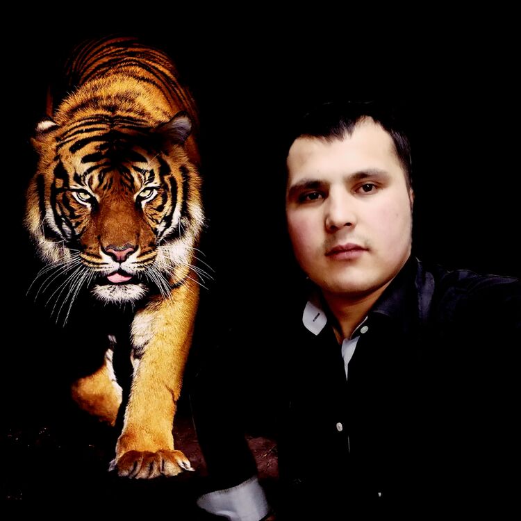 ���� 29540397 ����� ������, 25 ���, ���� ���������� � ���