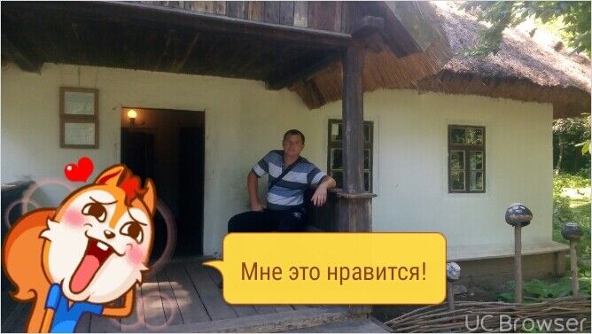 ���������� ����, ���� ������� ����, 36 ���, ������������ ��� ������, ����� � ���������, c�������� ���������