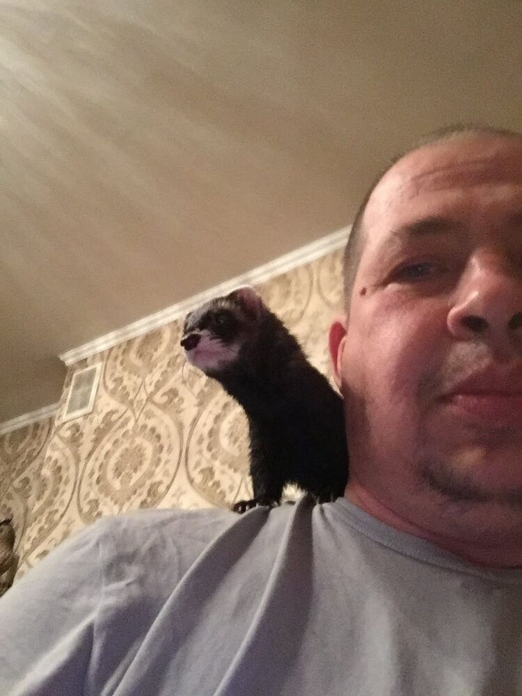 ���������� ������, ���� ������� �������, 51 ���, ������������ ��� ������, ����� � ���������, c�������� ���������