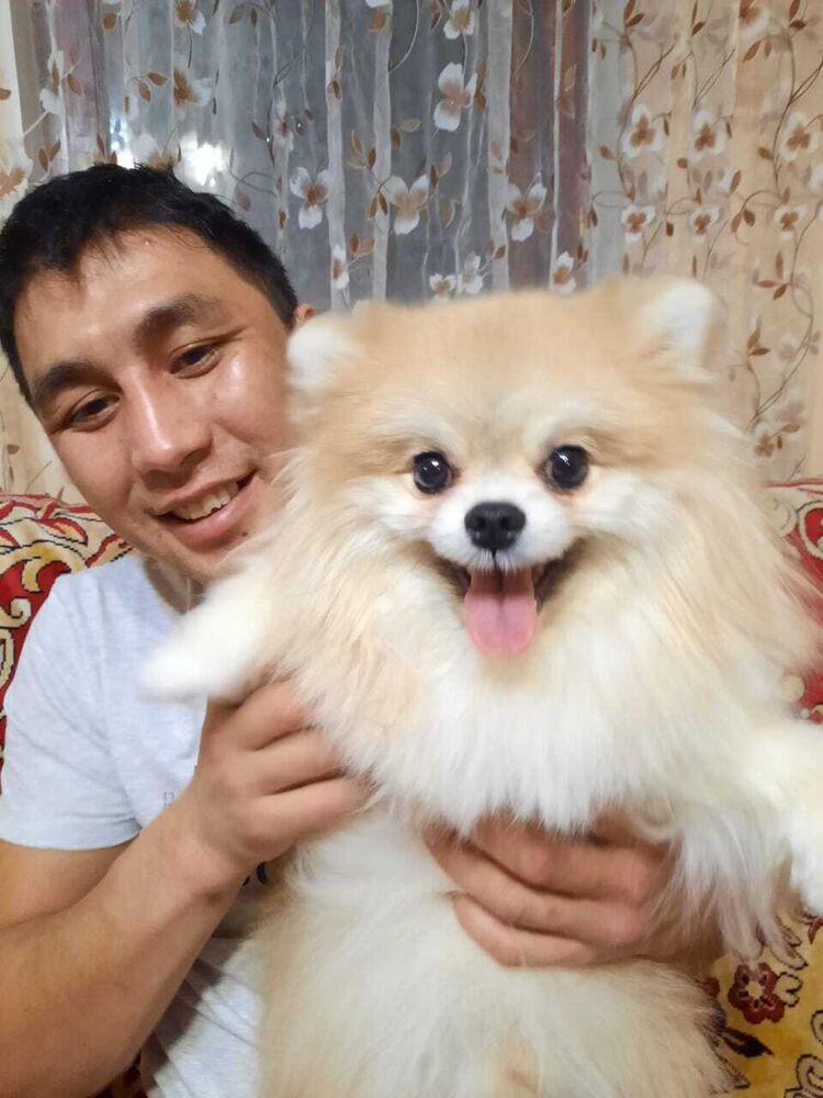 ���� 27922717 ������� �������, 37 ���, ���� ���������� � ����