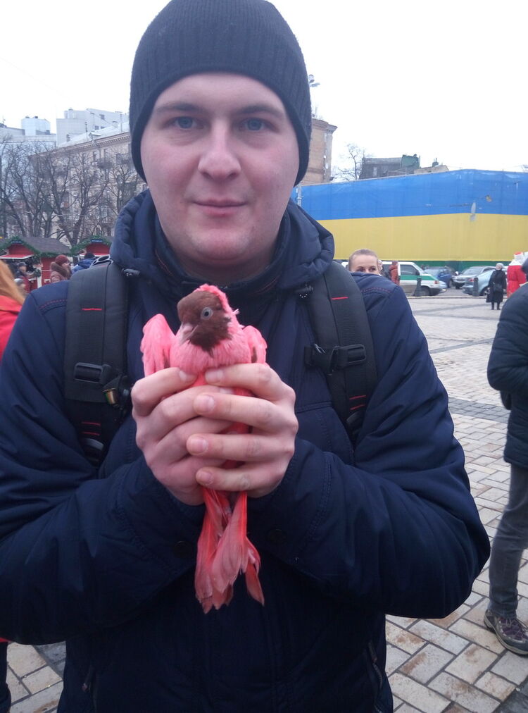 ���� 11850857 ������� ����, 32 ����, ���� ���������� � �����