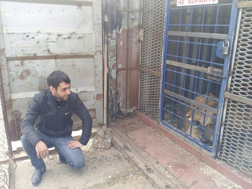  6923187  Paylak, 43 ,    