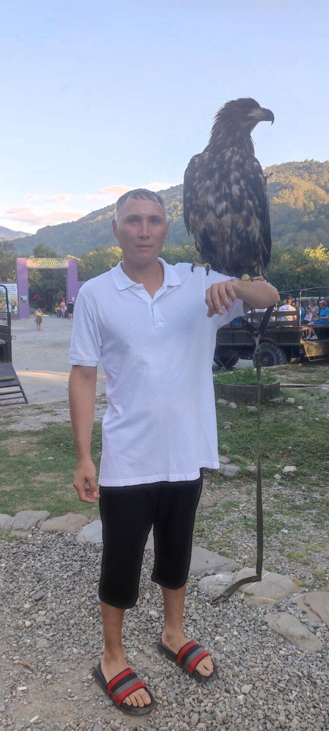 ���������� ������, ���� ������� ������, 37 ���, ������������ ��� ������, ����� � ���������, c�������� ���������, ���������