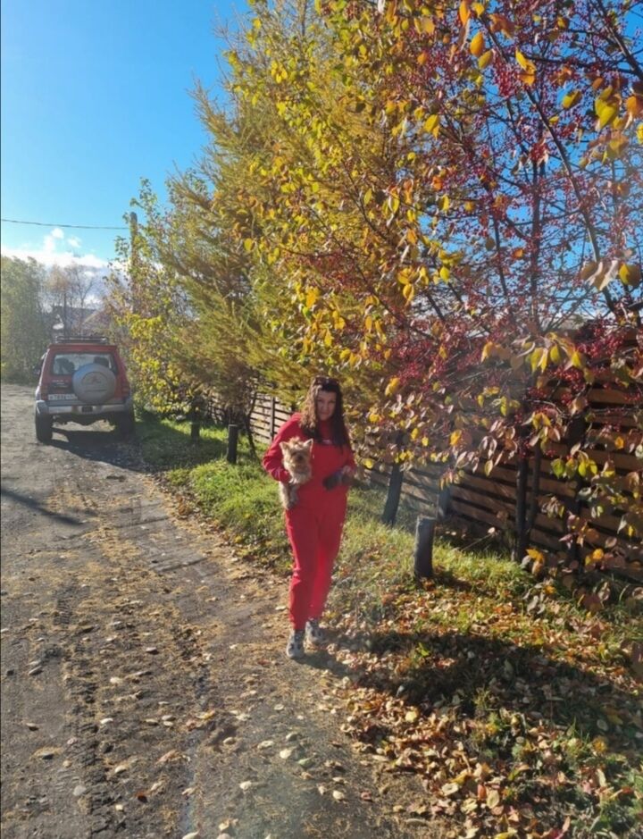 ���� 55399647 ������� ��������, 45 ���, ���� ���������� � ��������������-����������