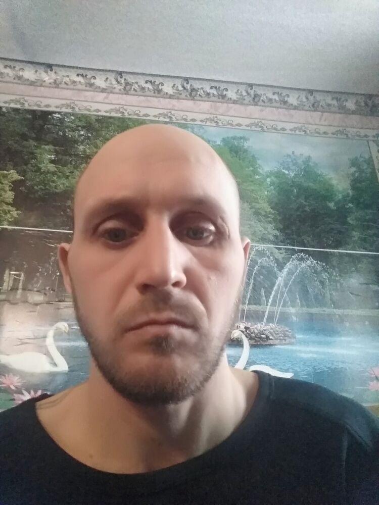  14932497  Sany, 43 ,    