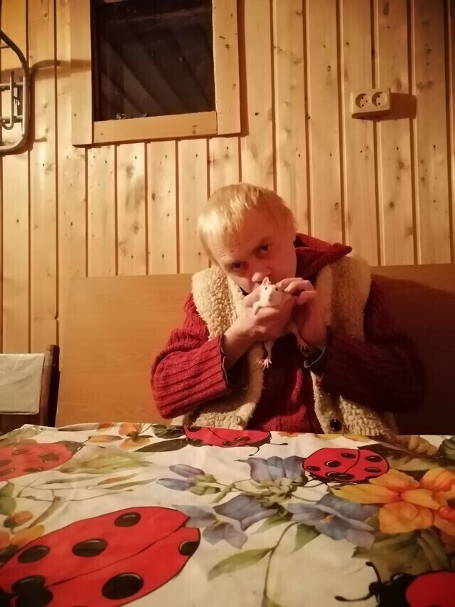 ���� 22087597 ������� ������, 41 ���, ���� ���������� � ������