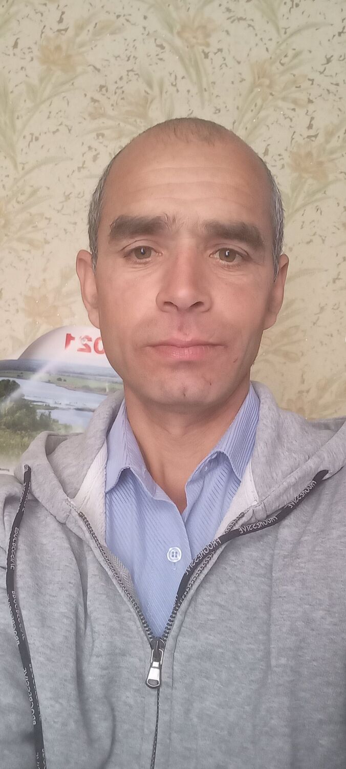 43154407  , 46 ,    
