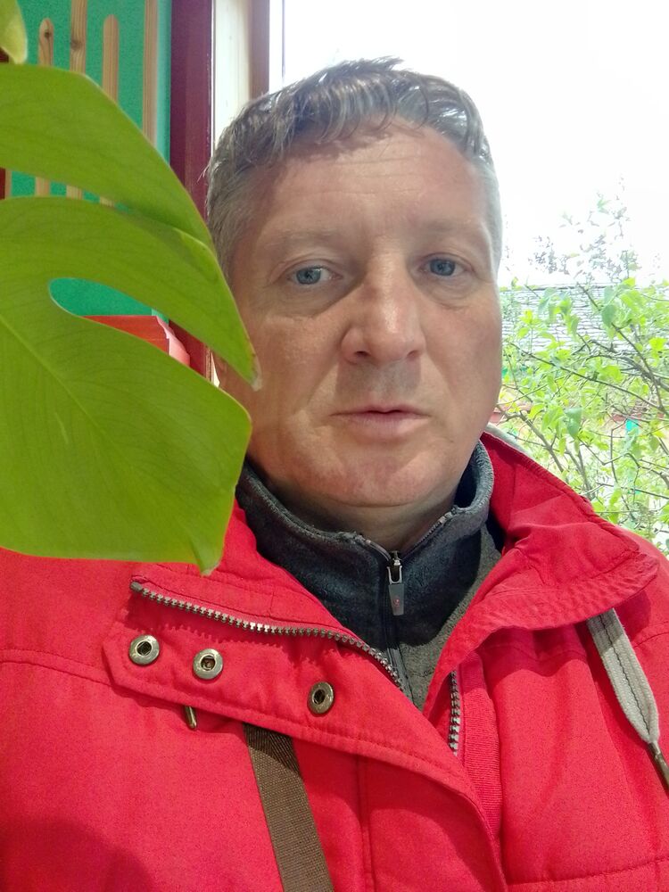 ���� 36504597 ������� ������, 50 ���, ���� ���������� � ������