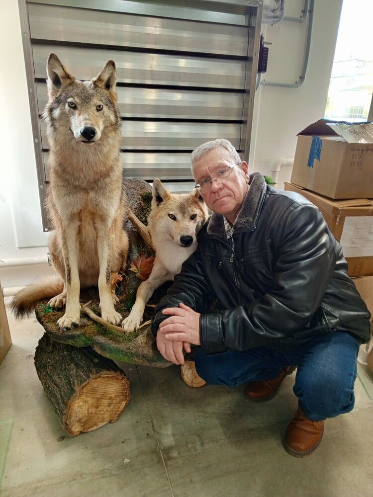 ���������� �����-���������, ���� ������� �������, 61 ���, ������������ ��� ������, ����� � ���������