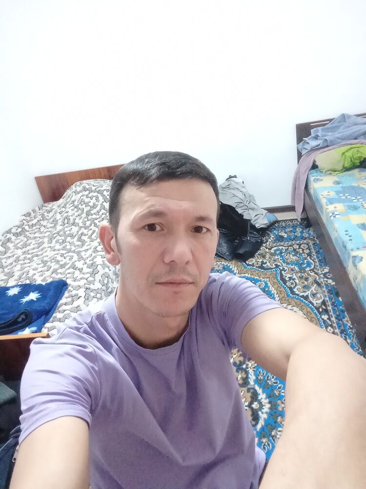  35177687  , 44 ,    