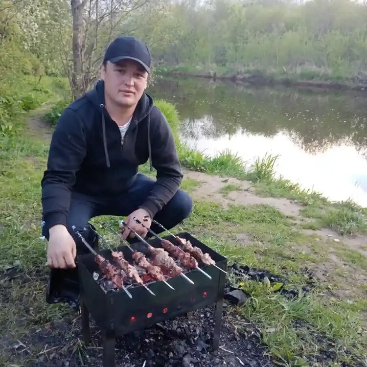  33779067  , 33 ,    -