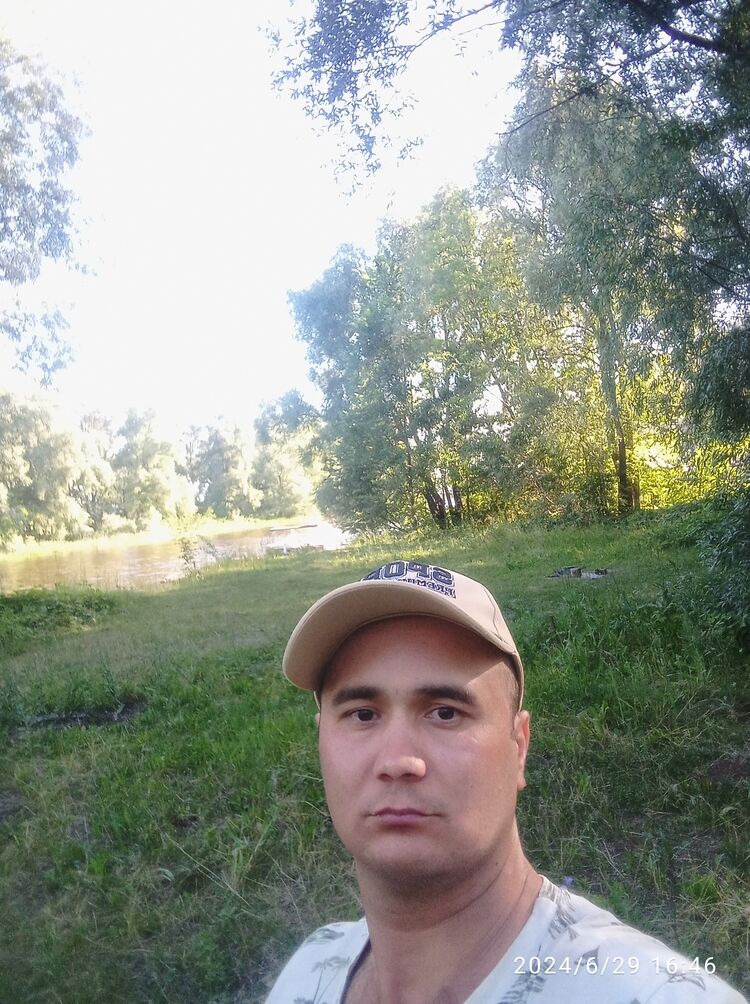  44318337  , 32 ,    