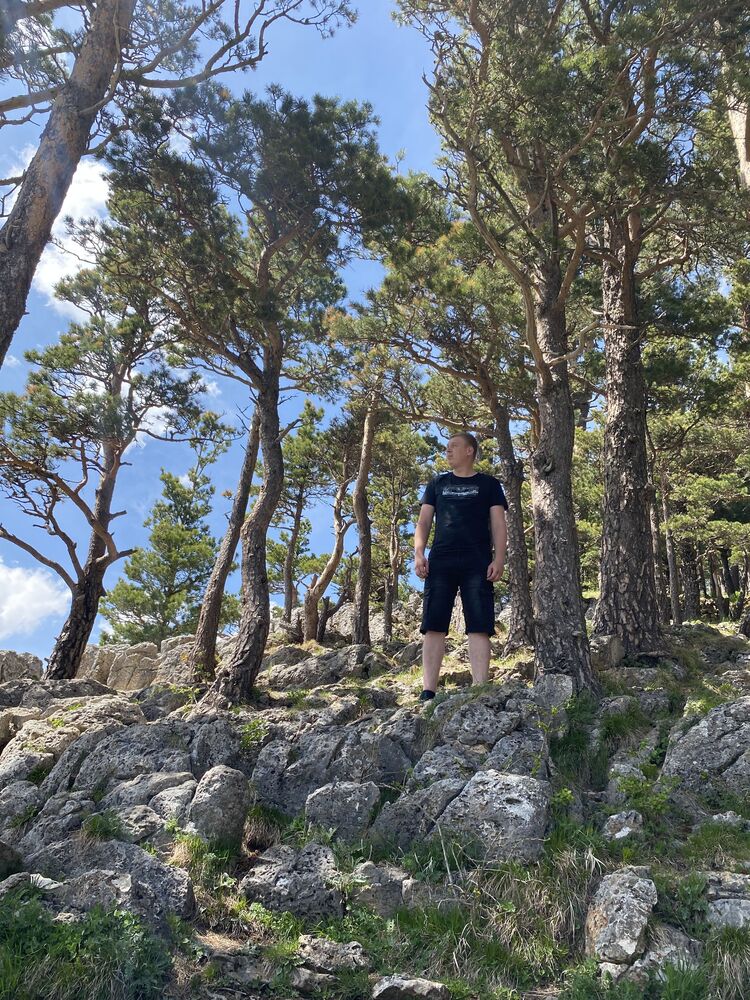 ���������� ���������, ���� ������� ���������, 31 ���, ������������ ��� c�������� ���������