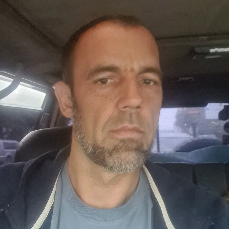  41266337  , 43 ,    