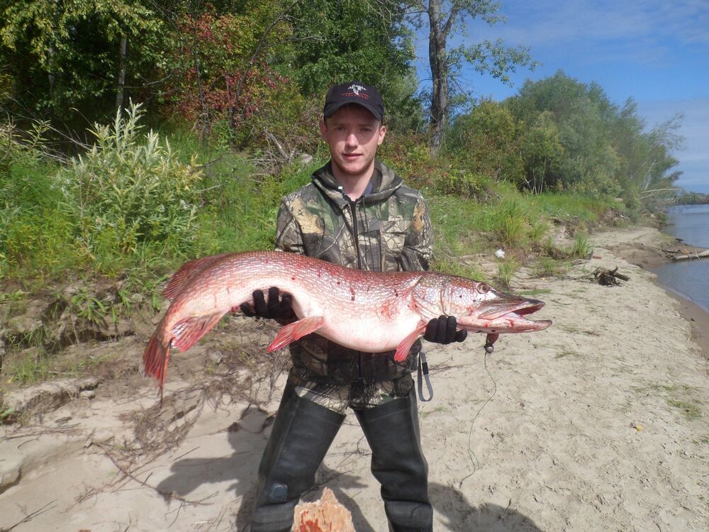  30852107  Evgeny, 36 ,    