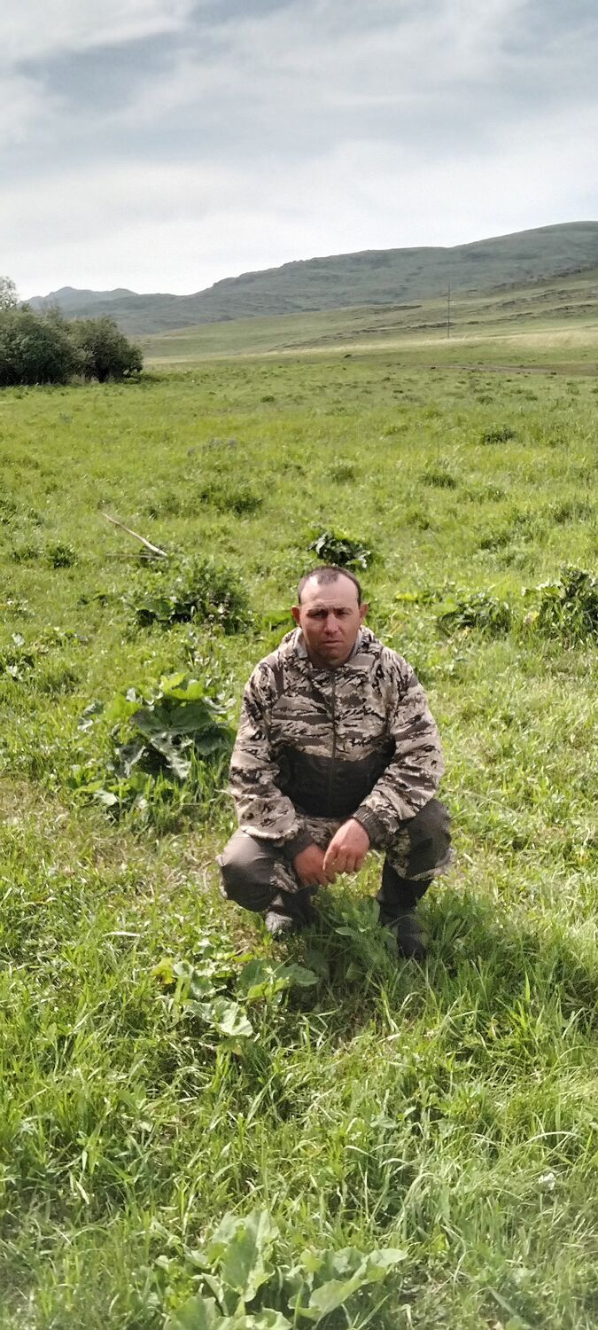  52905967  , 38 ,    -