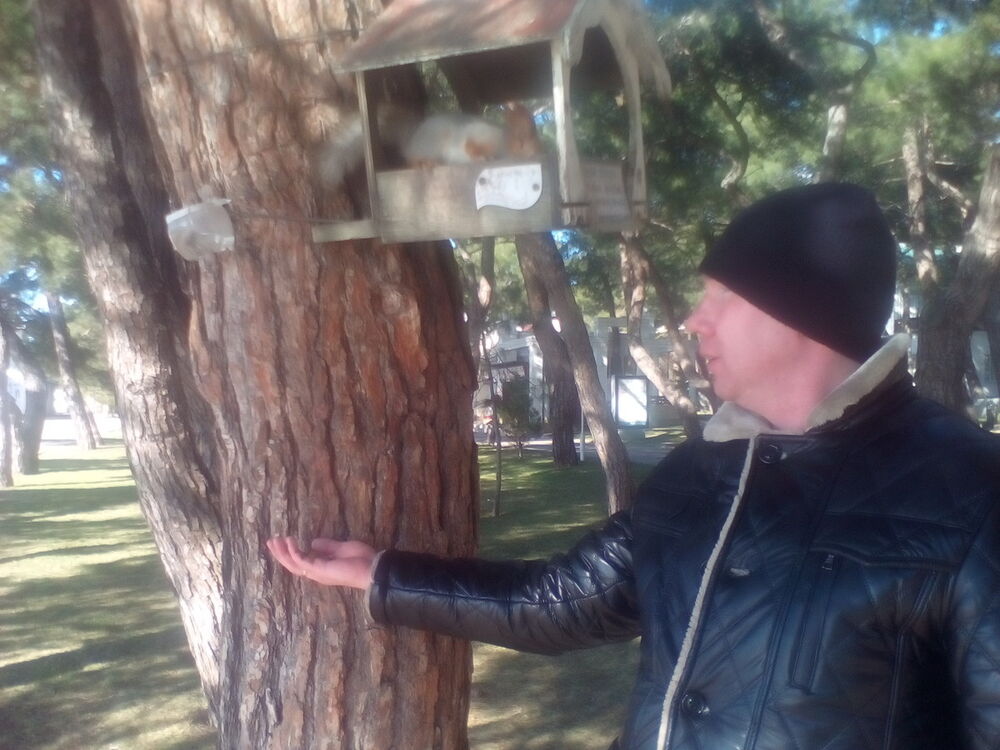 ���������� ���������, ���� ������� �����, 40 ���, ������������ ��� ������, ����� � ���������, c�������� ���������