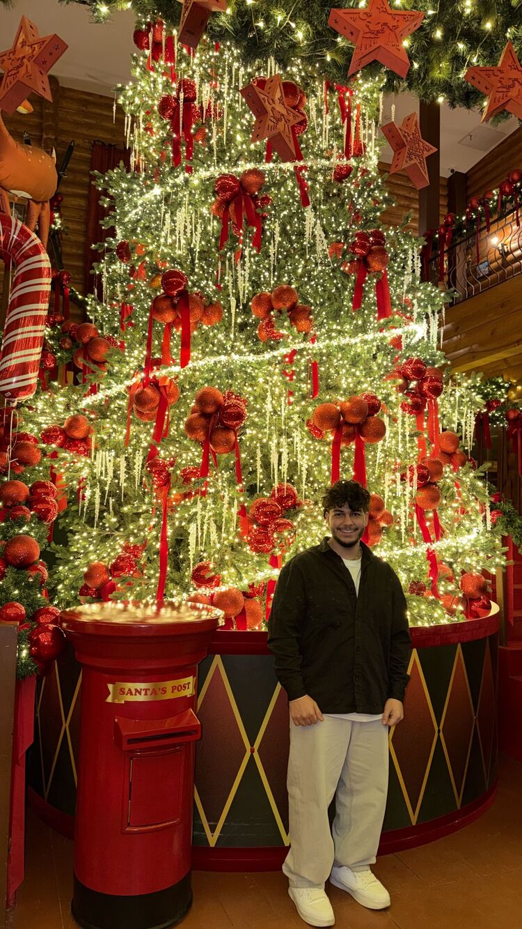 ���� 55542357 ����� �������, 24 ����, ���� ���������� � �������