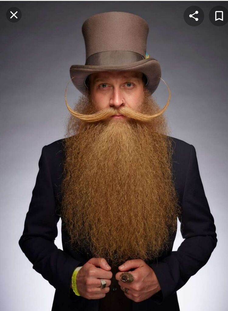 ���� 21556267 ������� ��������, 105 ���, ���� ���������� � ������� ���������