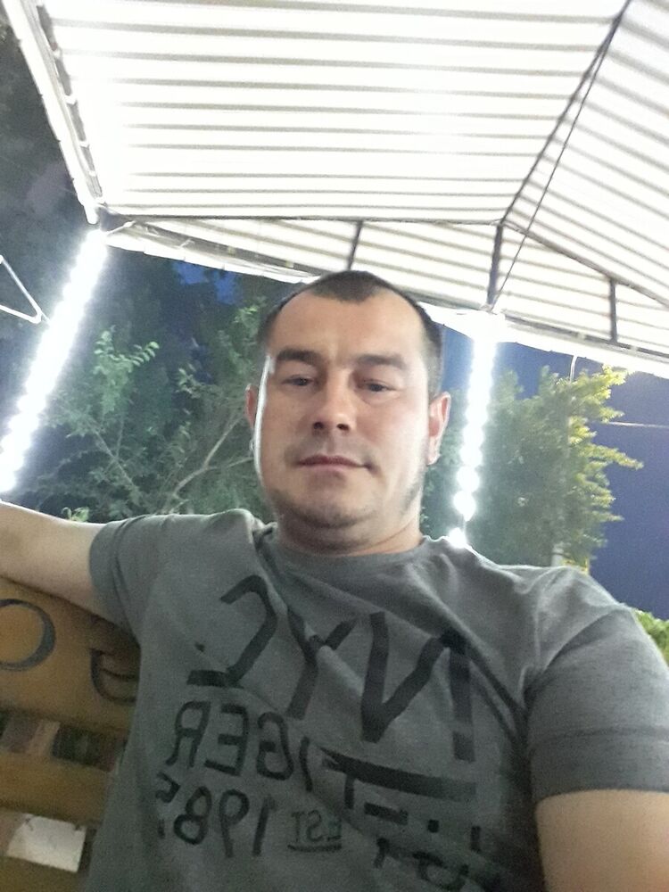  20339267  , 37 ,    