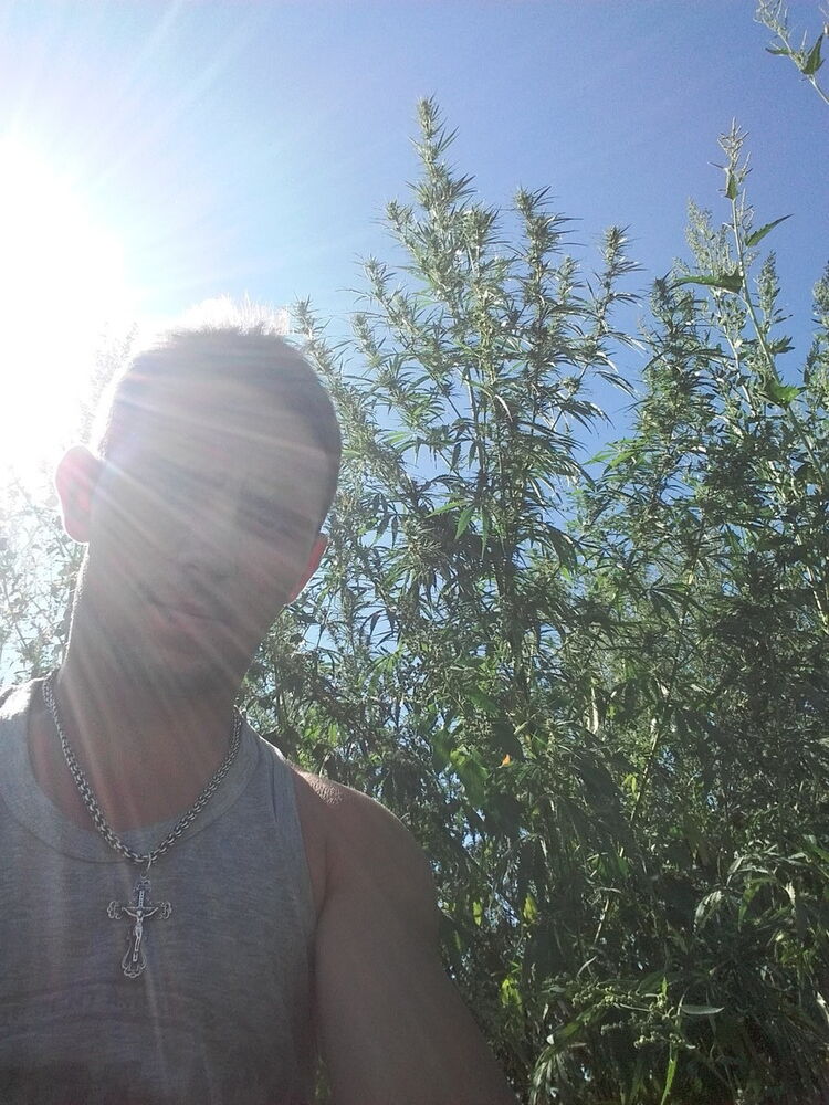 ���������� �������, ���� ������� ������, 32 ����, ������������ ��� ������