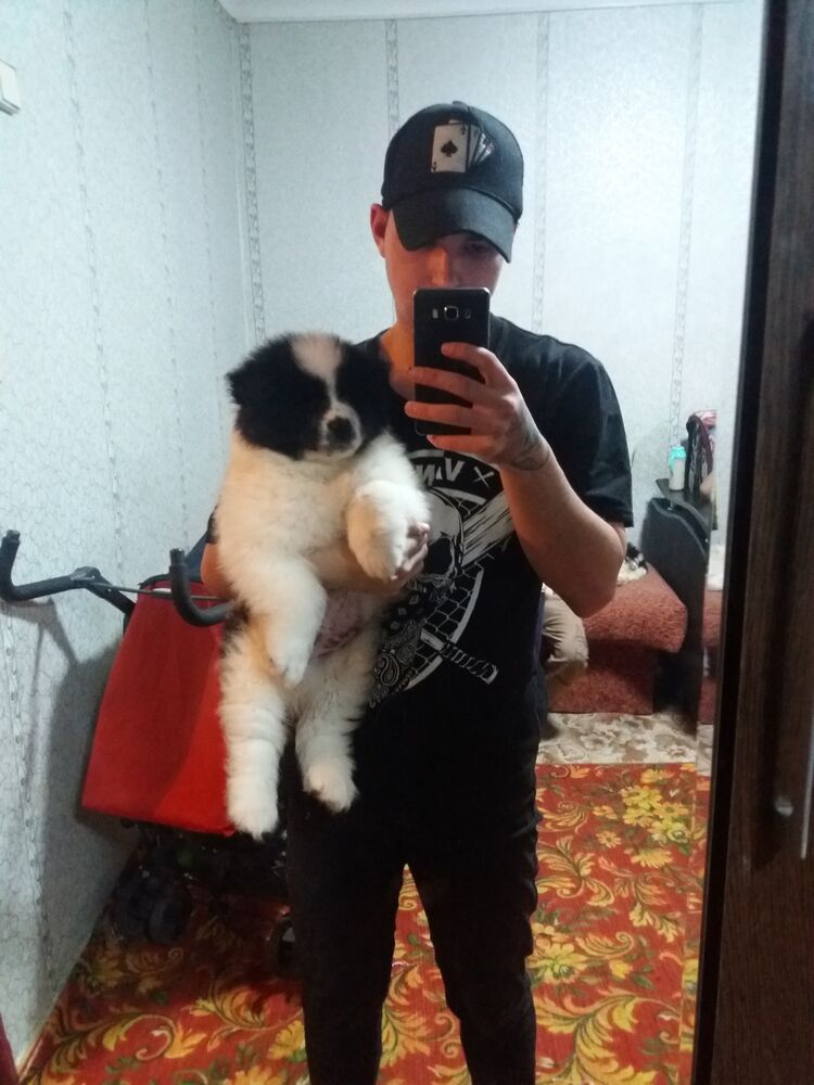 ���������� �������, ���� ����� ����, 25 ���, ������������ ��� ������, ����� � ���������, c�������� ���������