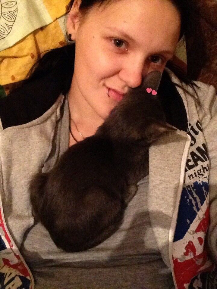 ���� 8855217 ������� ��������, 27 ���, ���� ���������� � ��������