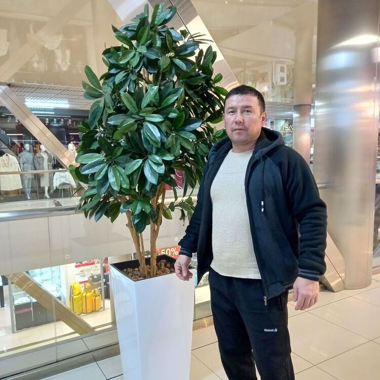 ���� 24330567 ������� ��������, 37 ���, ���� ���������� � �������