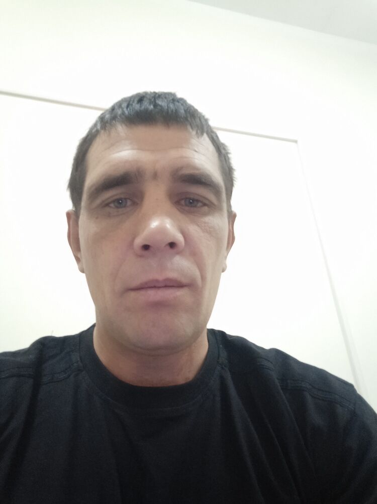  38869567  , 38 ,    