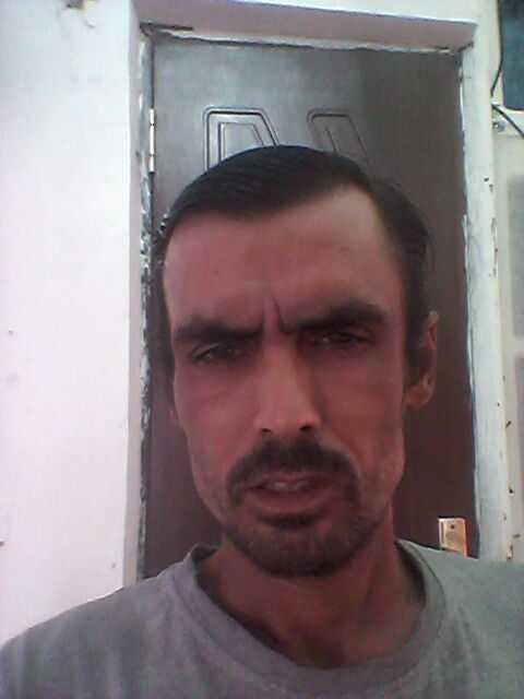  23805657  , 40 ,    