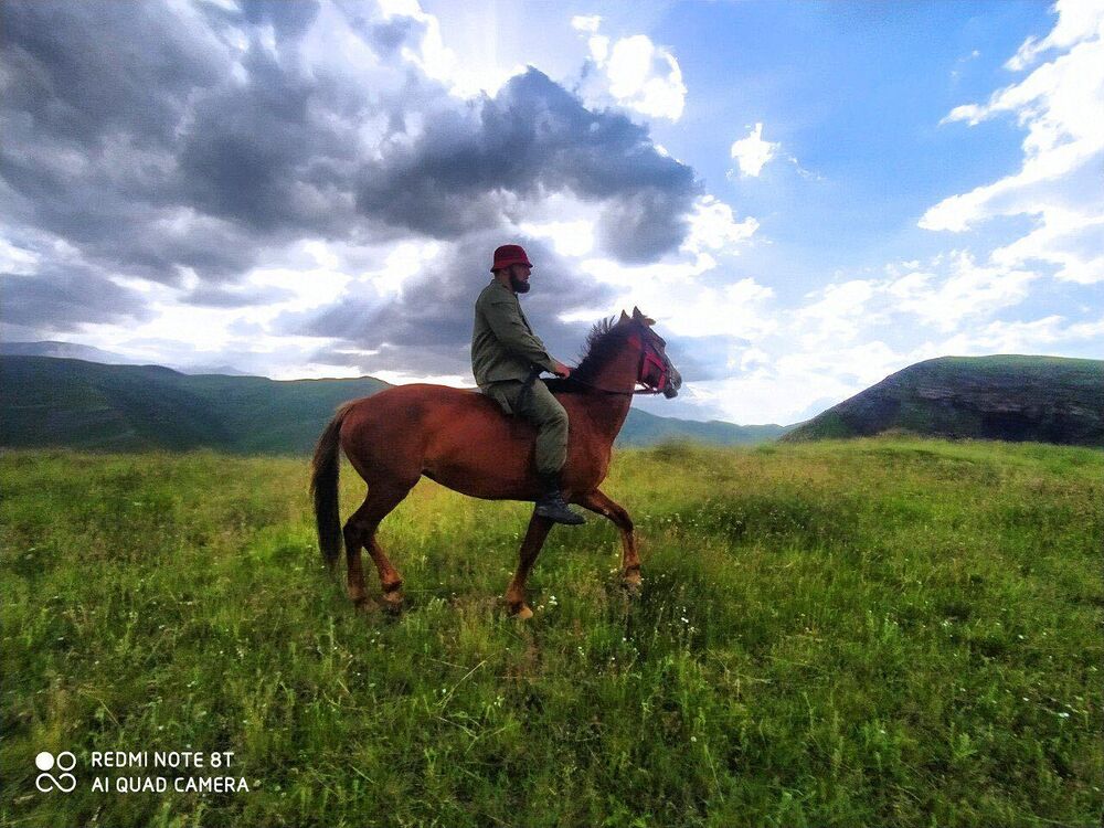 ���� 44681827 ������� ��������, 26 ���, ���� ���������� � ���������