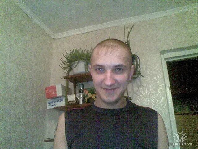  24597337  , 41 ,    