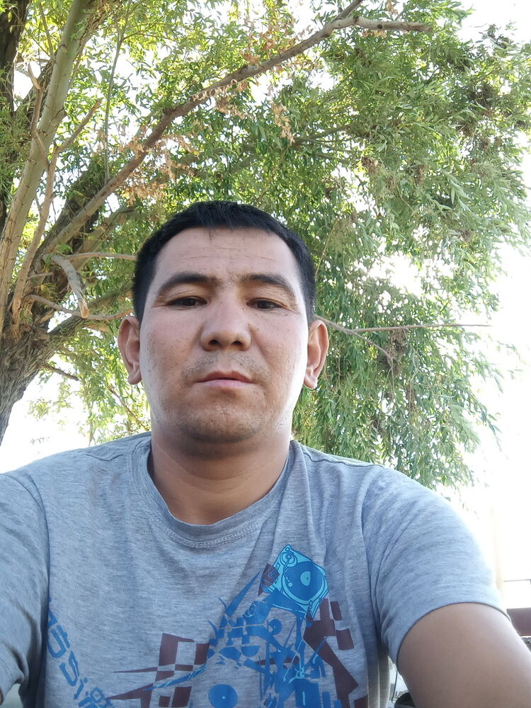  17434897  , 40 ,    