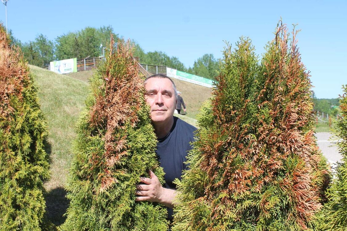 ���������� �������, ���� ������� �������, 60 ���, ������������ ��� ����� � ���������, c�������� ���������