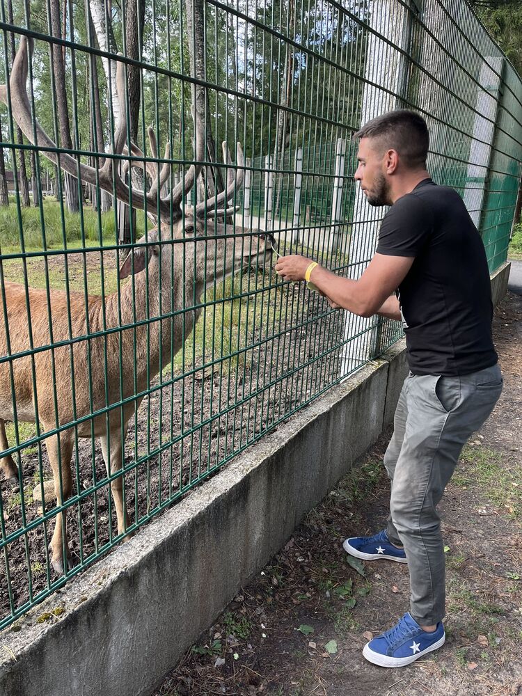 ���������� �����-���������, ���� ������� ����, 40 ���, ������������ ��� ������