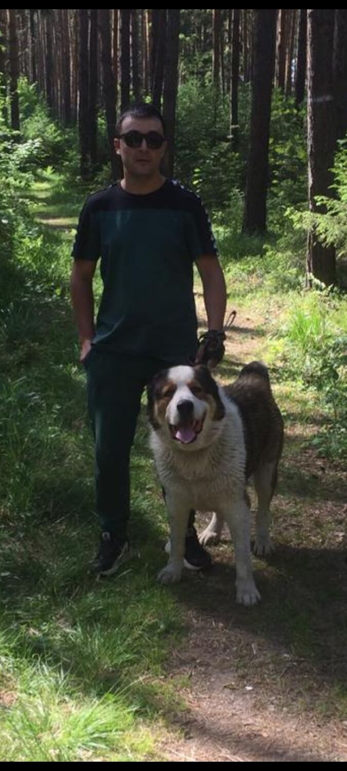 ���������� ������������, ���� ������� �����, 36 ���, ������������ ��� ������, ����� � ���������, c�������� ���������, ���������