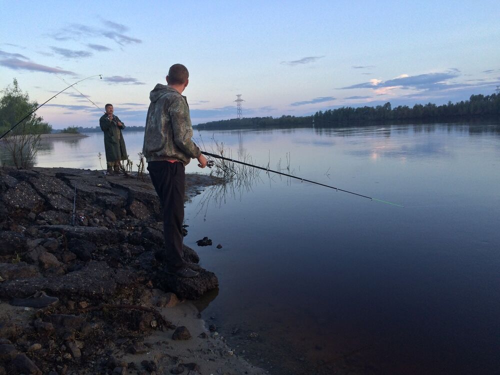  6382597  Slim, 42 ,    -