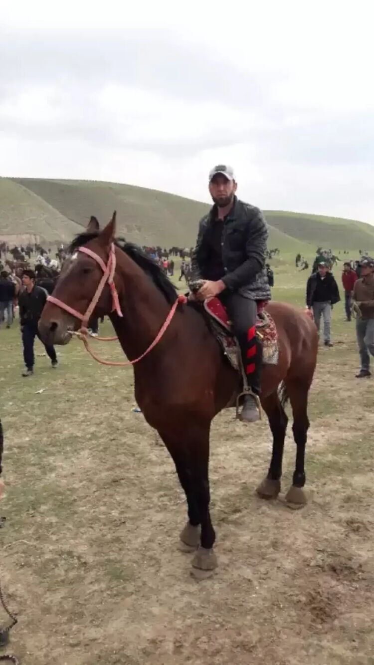 ���� 44196837 ������� �����, 34 ����, ���� ���������� � ������