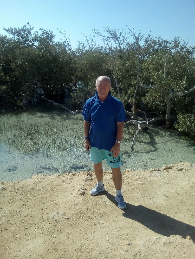  ,   , 74 ,   ,   
