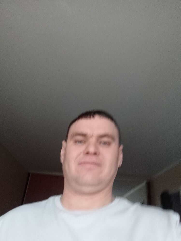  33034277   , 41 ,    