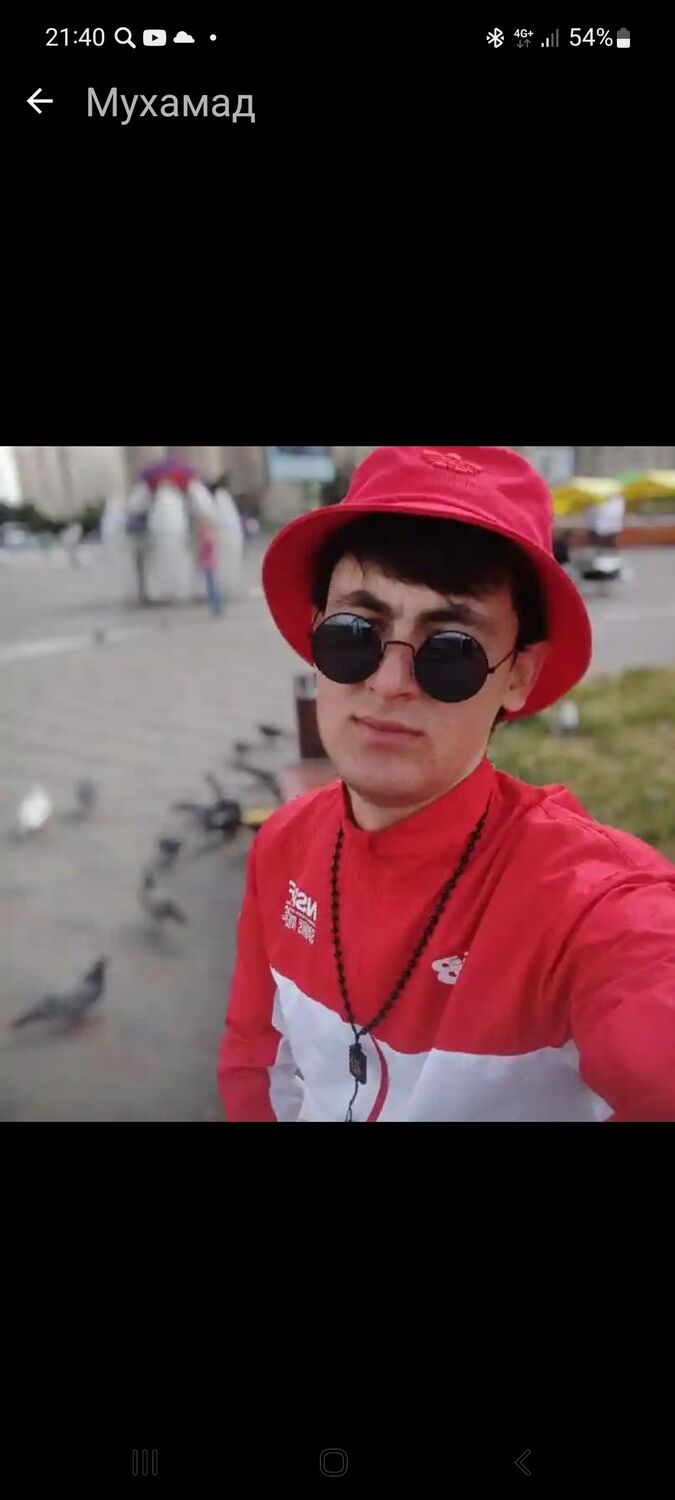  43693507  , 24 ,    -