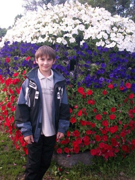 ���������� ���������, ���� ������� �������, 28 ���, ������������ ��� ������, ����� � ���������, c�������� ���������