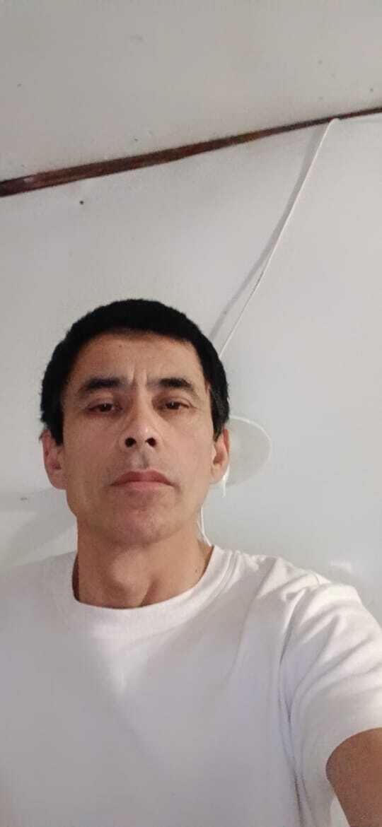 ���� 56086387 ������� �����, 50 ���, ���� ���������� � �����-����������