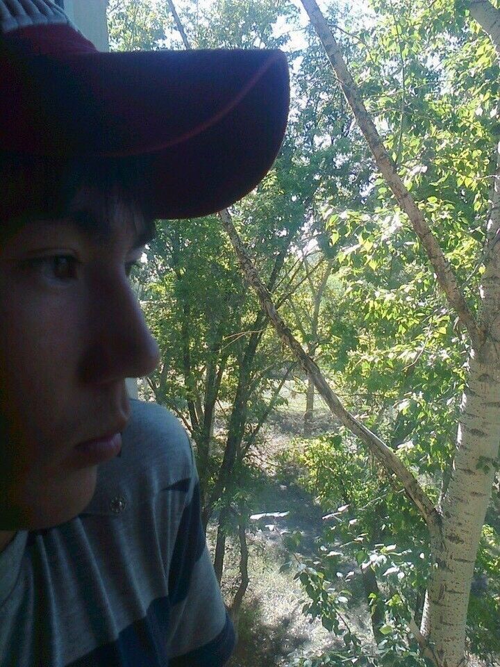 ���� 17033867 ������� �����, 33 ����, ���� ���������� � ���������