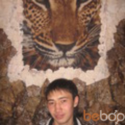  ,   Kitaec, 36 ,     , c 